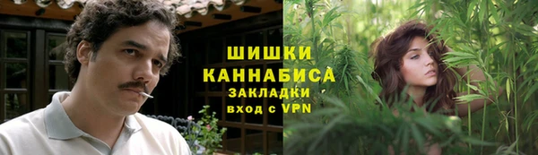 ГАЛЛЮЦИНОГЕННЫЕ ГРИБЫ Алзамай