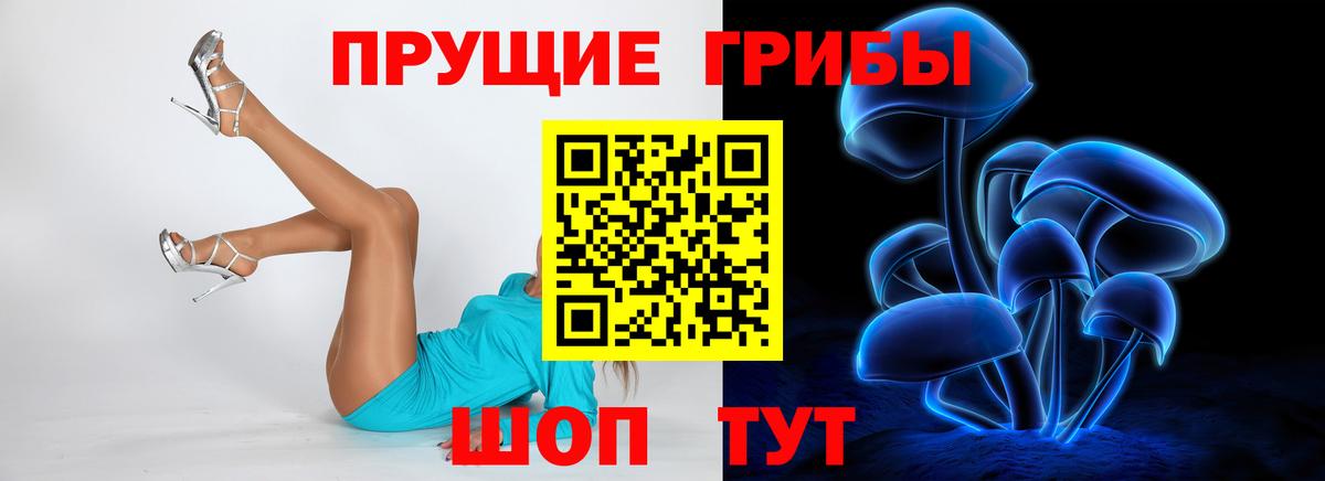 Норильск  как найти наркотики  Вход с VPN  Псилоцибиновые грибы Psilocybe 